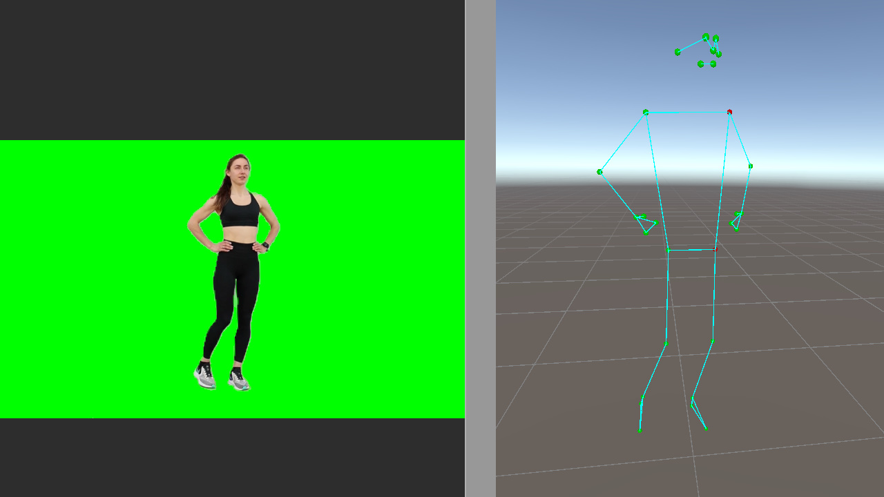 标记后的 pose landmark